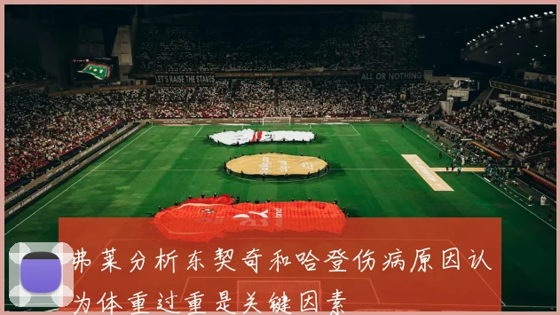 弗莱分析东契奇和哈登伤病原因认为体重过重是关键因素
